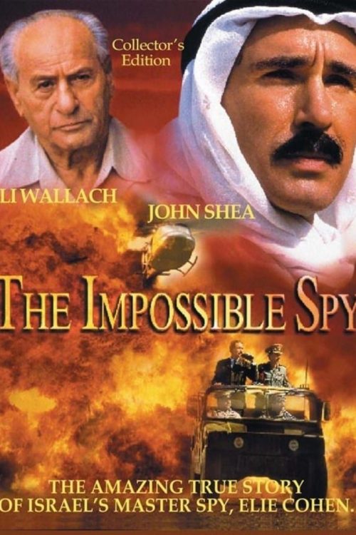 El espía imposible : The Impossible Spy