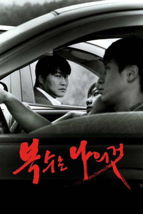 El nombre de la venganza : Sympathy for Mr. Vengeance